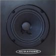 Auratone 5c Passive Monitor Pair - Black Online now